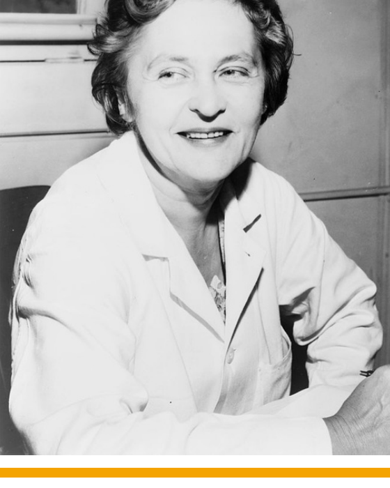 Mária Telkes